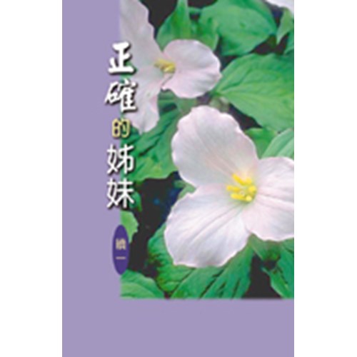 正確的姊妹(續一) 封面