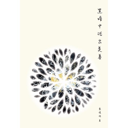 黑暗中活出美善 封面