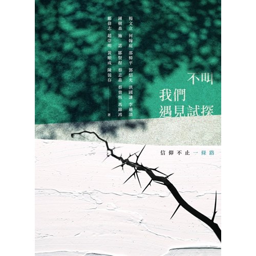 不叫我們遇見試探--信仰不止一條路 封面
