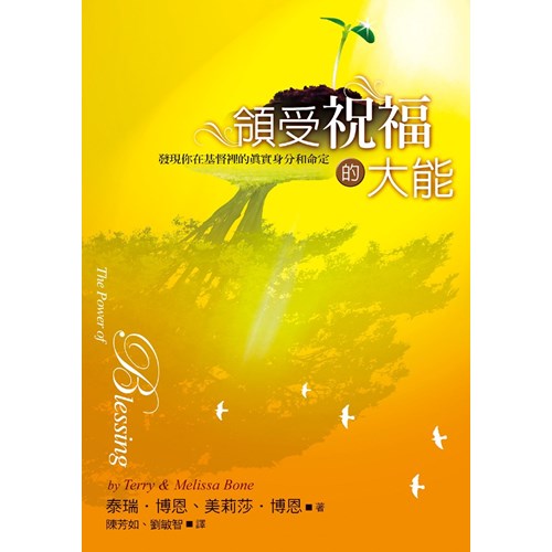 領受祝福的大能(平裝) 封面