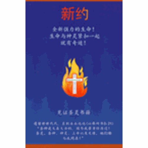 新約--見證聖靈書籍(簡體) 封面