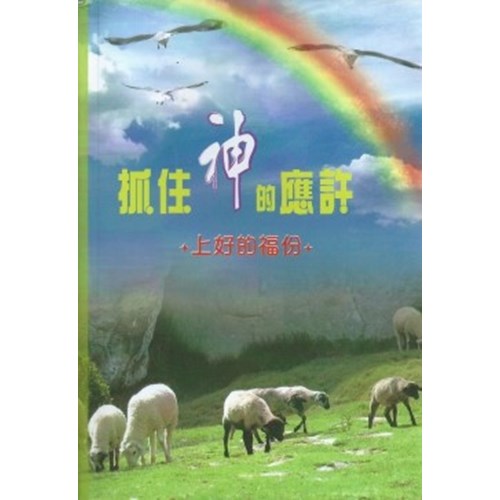 抓住神的應許--上好的福份 封面