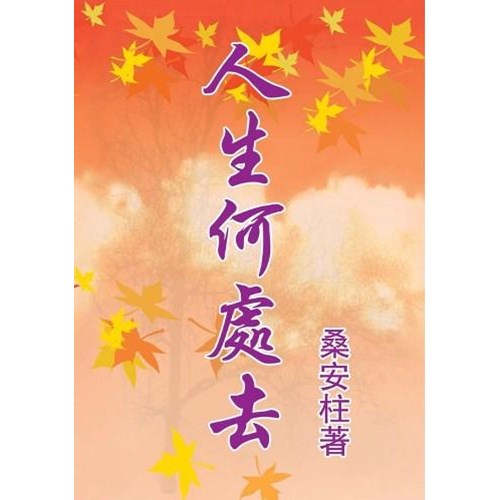 人生何處去 封面