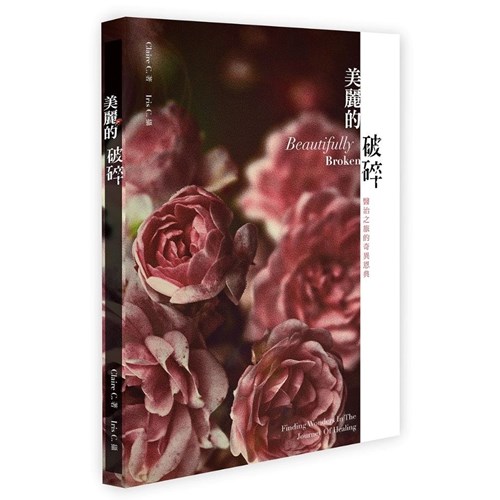 美麗的破碎 封面