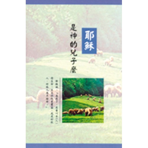 耶穌是神的兒子嗎(25K) 封面