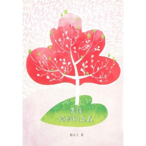 實踐婚姻的真義 封面