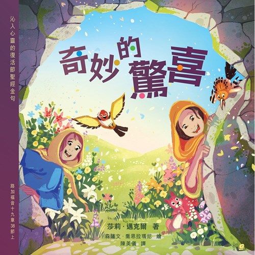 奇妙的驚喜 封面