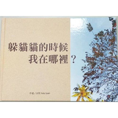 躲貓貓的時候我在哪裡? (繪本) 封面