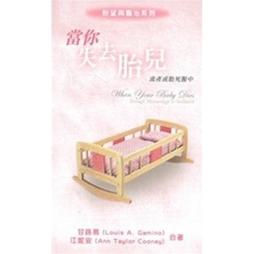 當你失去胎兒--流產或胎死腹中 封面