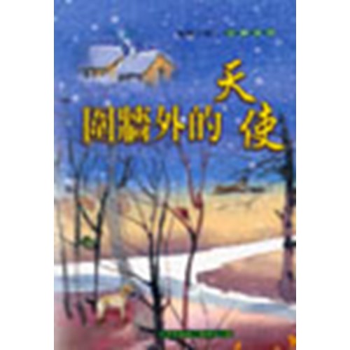 圍牆外的天使 封面