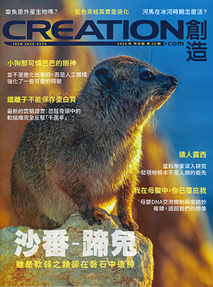 創造雜誌：中文版第三十二期——沙番：蹄兔 封面