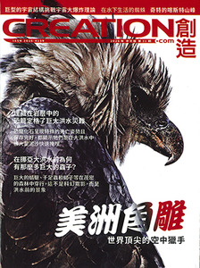 創造雜誌：中文版第三十一期——美洲角雕：世界頂尖的空中獵手 封面