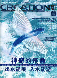 創造雜誌：中文版第二十九期——神奇的飛魚 封面