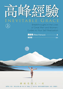 高峰經驗：柳暗花明又一村（上） 封面