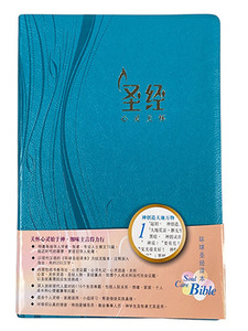 心靈關懷聖經．環球聖經譯本．簡體．藍色儷皮燙金金邊．L52SS03J2 封面