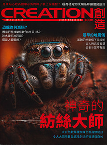 創造雜誌：中文版第二十八期——神奇的紡絲大師 封面