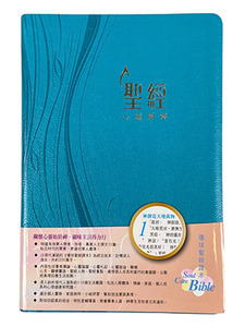 心靈關懷聖經．環球聖經譯本．藍色儷皮燙金金邊．L51TS03J2 封面