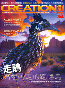 創造雜誌：中文版第二十七期——走鵑：高速奔走的跑路鳥 封面