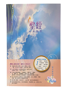 心靈關懷聖經．環球聖經譯本．彩色平裝白邊．L51TS99P 封面