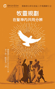 牧靈規劃：在聖神內共同分辨 封面