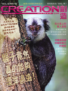 創造雜誌:中文版第二十六期——猴子竟然真的能夠漂洋過海! 封面