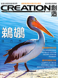 創造雜誌：中文版第二十五期——鵜鶘：借力飛行的大師 封面