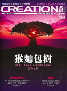 創造雜誌：中文版第二十三期——猴麵包樹 封面