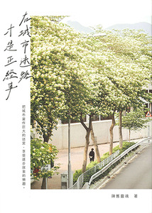 在城市迷路才是正經事 封面