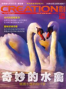 創造雜誌：中文版第二十二期——奇妙的水禽 封面