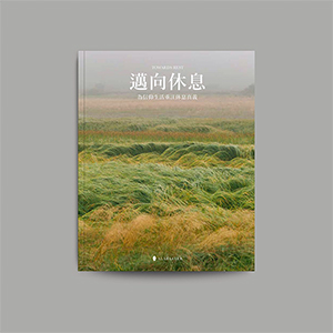 邁向休息：為信仰生活重注休息真義 封面