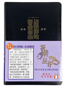 聖經祈禱應許版．特大字版．黑色皮面．金邊．拇指版．簡體字．CAS1331 封面