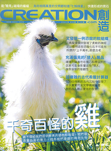 創造雜誌：中文版第二十期——千奇百怪的雞 封面