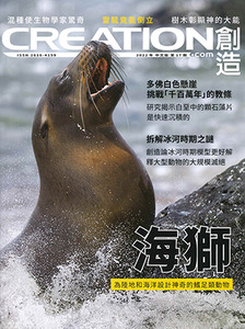 創造雜誌:中文版第十七期——海獅 封面