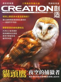 創造雜誌：中文版第十五期——貓頭鷹 封面