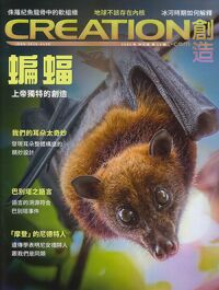 創造雜誌：中文版第十三期——蝙蝠 封面