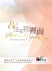 讚美之泉安靜系列演奏專輯（3）：住在祢裡面 封面