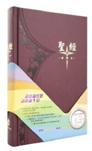 聖經新譯本．神字版．標準裝．棕色精裝白邊．S42TS11H 封面