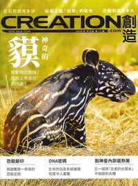 創造雜誌：中文版第十一期——神奇的貘 封面