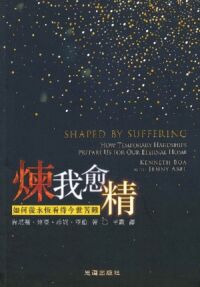 煉我愈精:如何從永恆看待今世苦難 封面