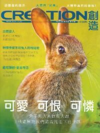 創造雜誌:中文版第九期——可愛、可恨、可憐(兔子) 封面