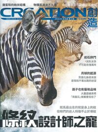 創造雜誌：中文版第八期——條紋設計師之寵 封面