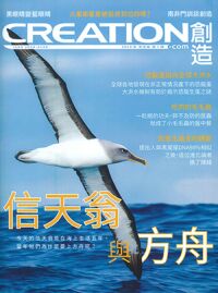 創造雜誌：中文版第七期——信天翁與方舟 封面