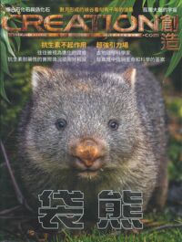 創造雜誌：中文版第四期——袋熊 封面