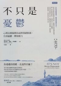 不只是憂鬱：心理治療師教你面對情緒根源，告別憂鬱，釋放壓力 封面