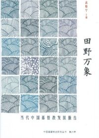 田野萬象:當代中國基督教發展報告(簡體字) 封面