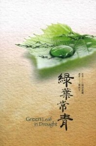 綠葉常青 封面