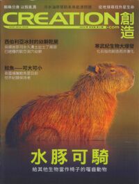 創造雜誌：中文版第二期——水豚 封面