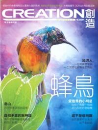 創造雜誌：中文版創刊號——蜂鳥 封面