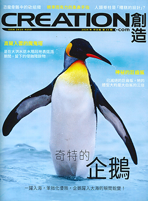 創造雜誌：中文版第三十三期——企鵝 封面