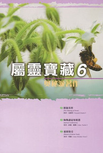 屬靈寶藏6：奧秘派著作 封面